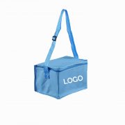 China Promotion Oxford Cooler bag