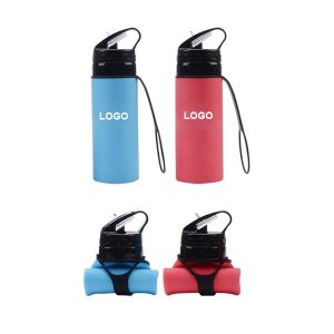 Collapsible Water Bottle with Clip